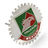 Insignia cromada para parrilla de coche y camión, emblema de Metal de Truckin México, medallón de bandera