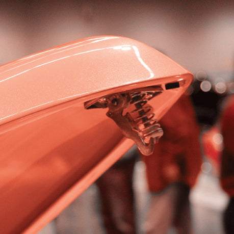 Bear Claw Trunk Latch